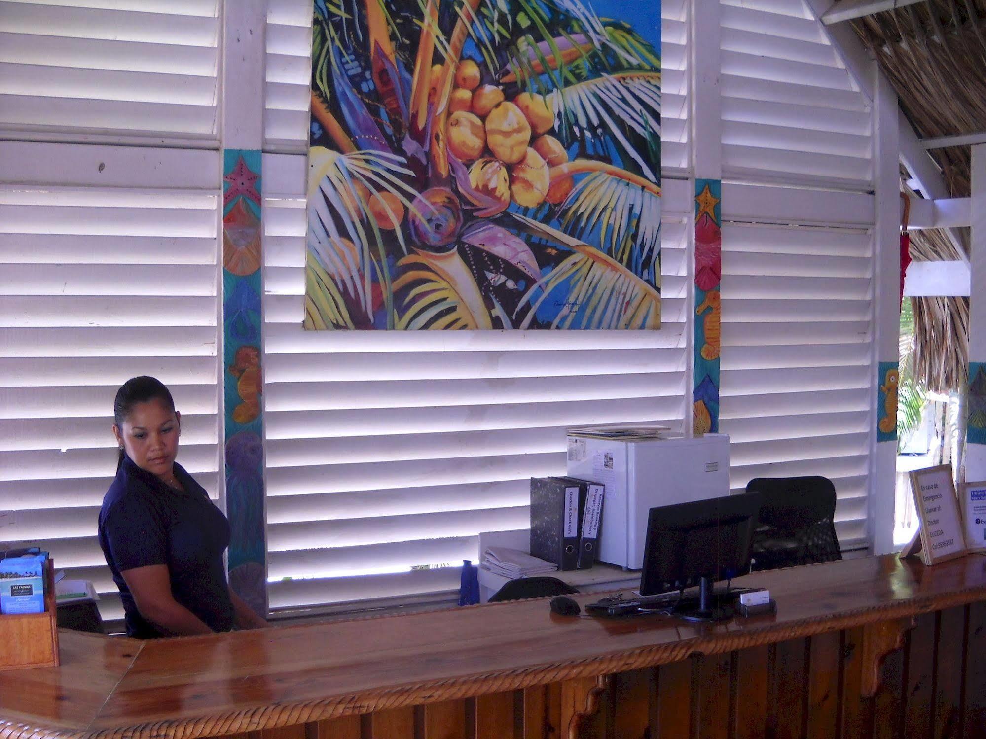 Las Palmas Beach Hotel Dixon Cove Exterior foto